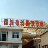 雁滩布料批发市场