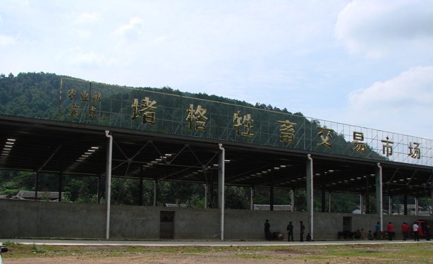 四川凉山州会东县堵格乡牲畜交易市场