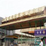 山东宁阳县白马蔬菜批发市场