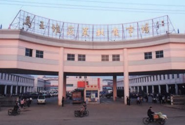 湖南长沙马王堆蔬菜批发市场