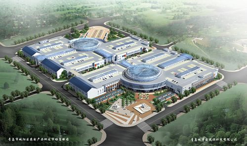 山东青岛城阳蔬菜批发市场