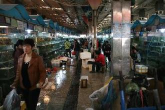 东郊海鲜批发市场