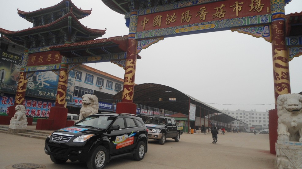 河南泌阳香菇批发市场