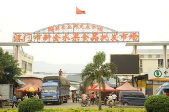 江门市新会香蕉批发市场
